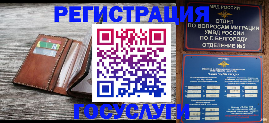 прописка 2025 в Заречном